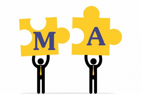 M&A - MERGER, ACQUISITION VÀ MỘT SỐ HÌNH THỨC M&A HIỆN NAY