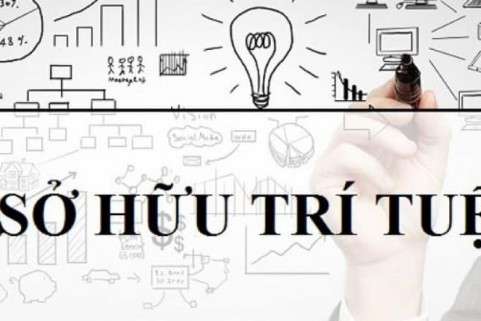 NGUYÊN TẮC XÁC ĐỊNH THIỆT HẠI DO XÂM PHẠM QUYỀN SỞ HỮU TRÍ TUỆ