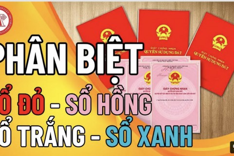 PHÂN BIỆT SỔ HỒNG, SỔ ĐỎ, SỔ TRẮNG, SỔ XANH